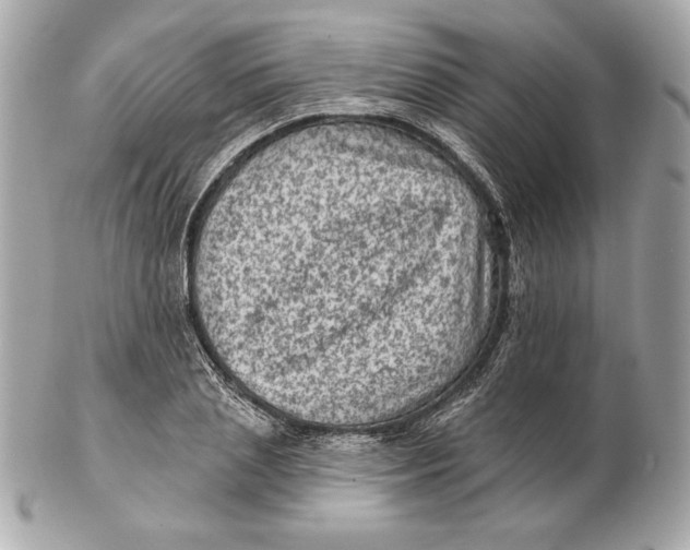 X0000102460837200808291540