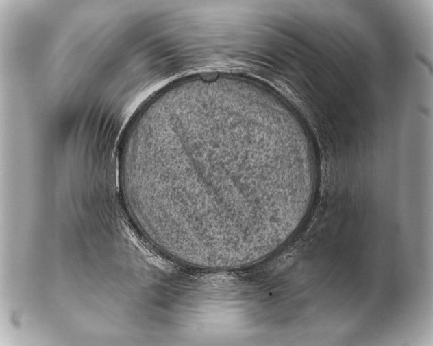 X0000102460838200808291540