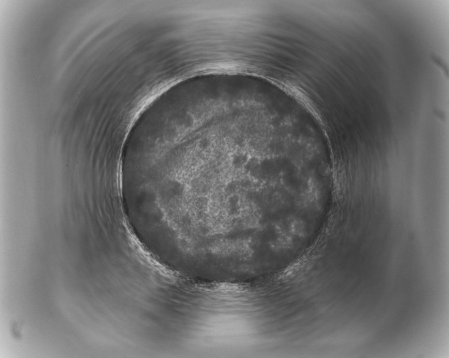 X0000102460839200808291540