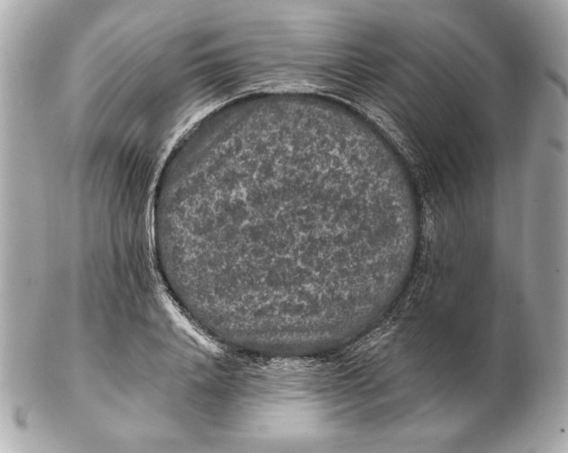 X0000102460840200808291540