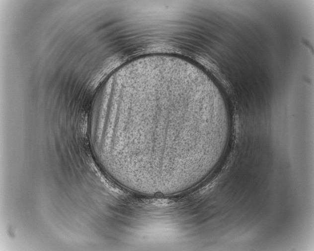 X0000102460841200808291540