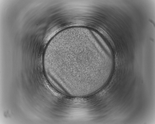 X0000102460842200808291540