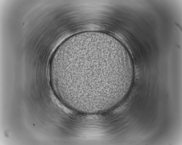 X0000102460843200808291540