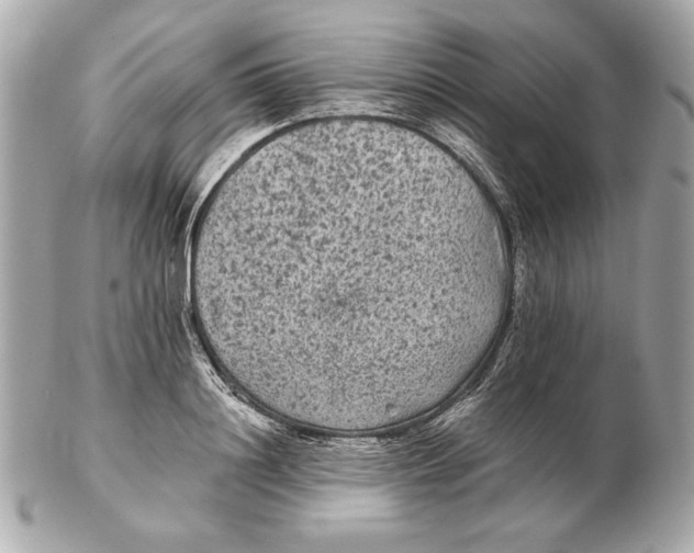 X0000102460844200808291540