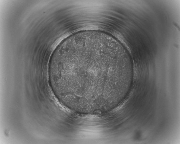 X0000102460845200808291540