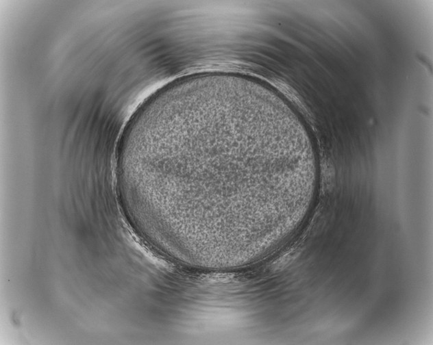 X0000102460846200808291540