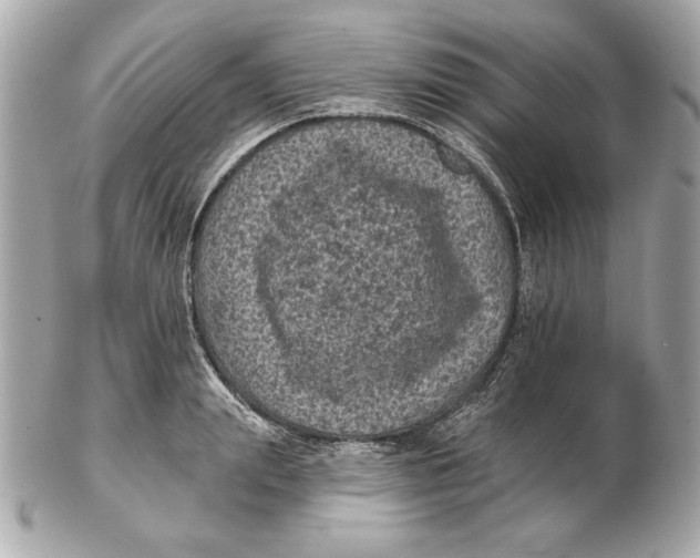 X0000102460847200808291540