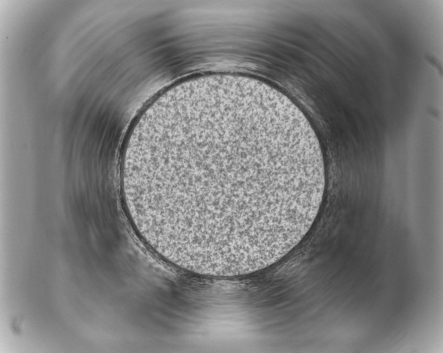 X0000102460848200808291540