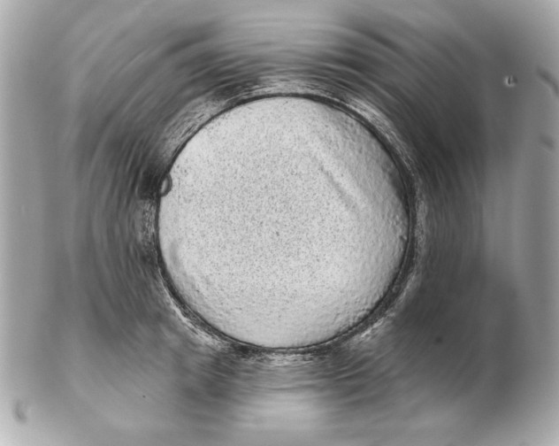 X0000102460849200808291540