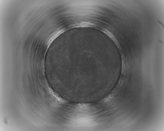 X0000102460850200808291540