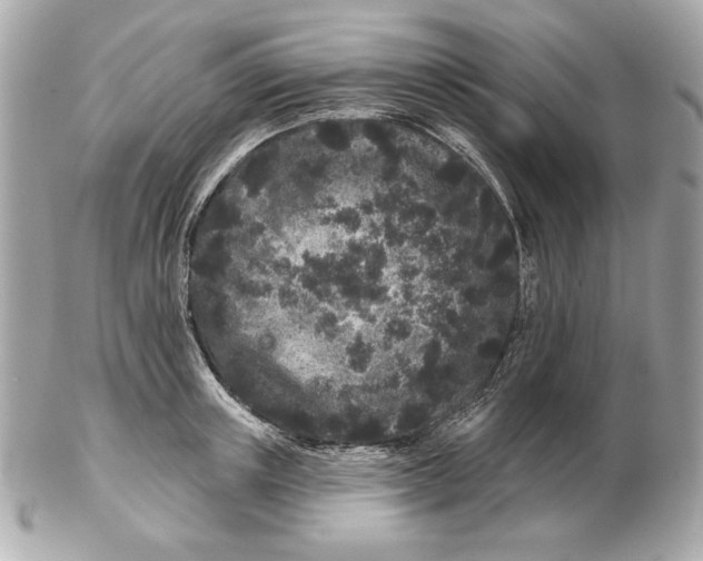 X0000102460851200808291541