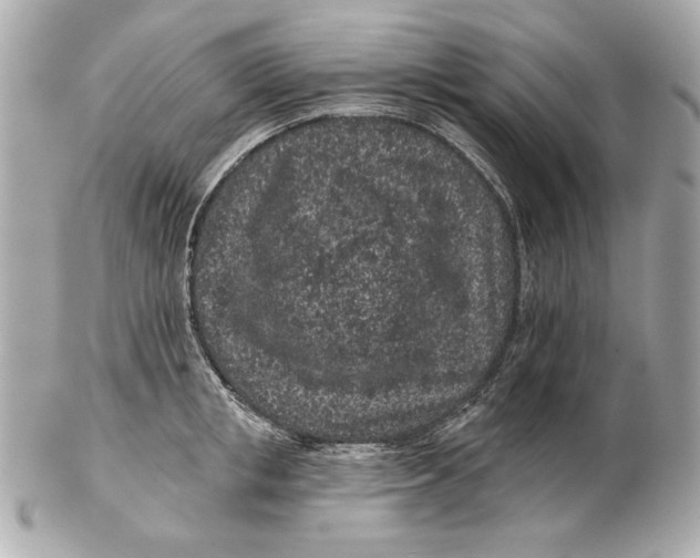 X0000102460853200808291541