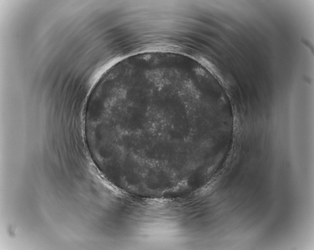 X0000102460854200808291541