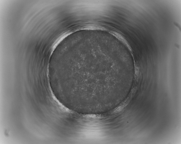 X0000102460855200808291541