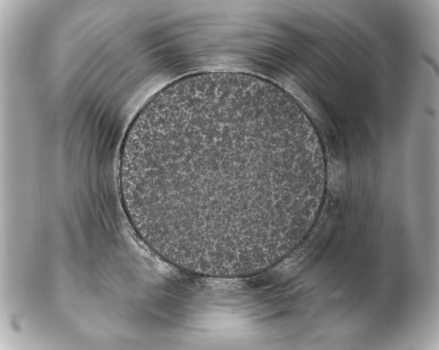 X0000102460856200808291541