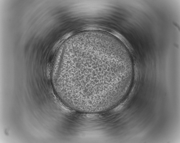 X0000102460857200808291541