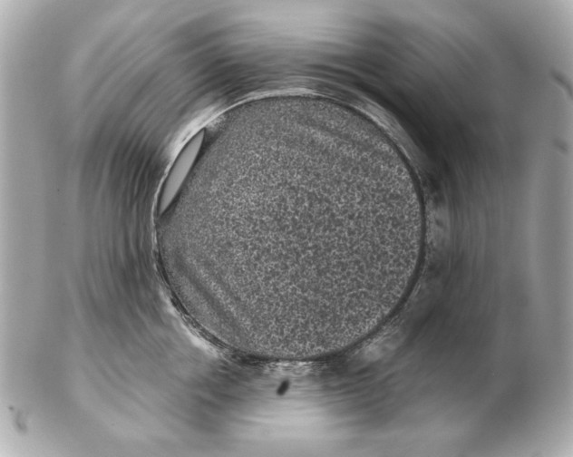X0000102460858200808291541