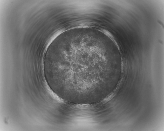 X0000102460859200808291541