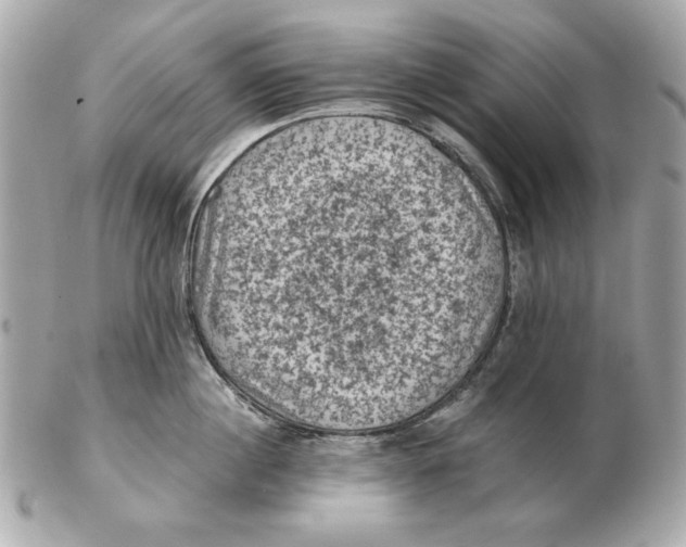 X0000102460860200808291541