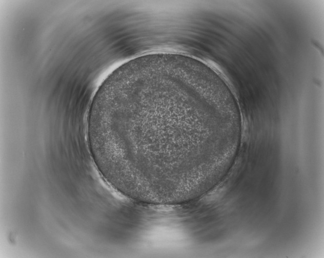 X0000102460862200808291541