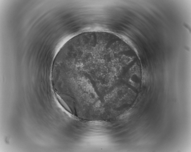 X0000102460863200808291541