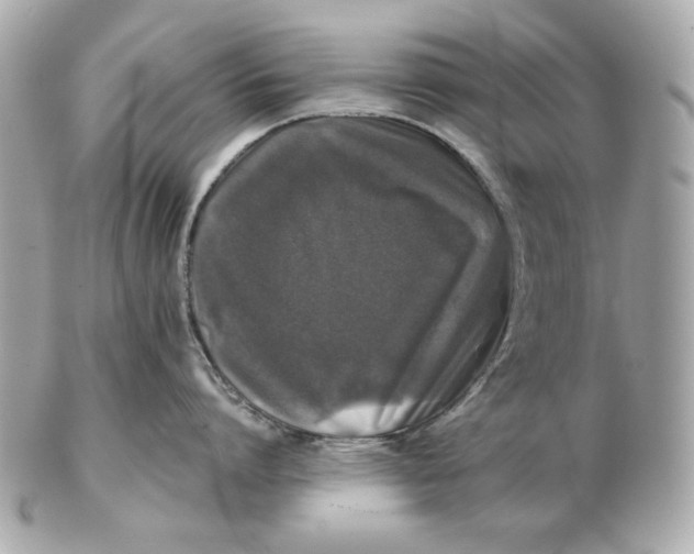 X0000102460864200808291541