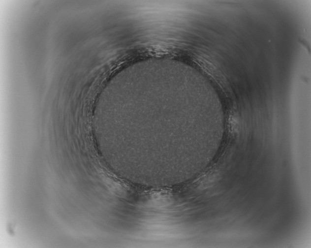 X0000102460865200808291540