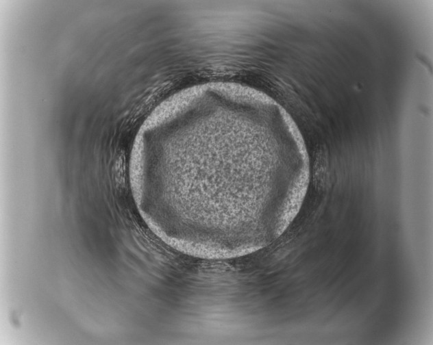 X0000102460866200808291540