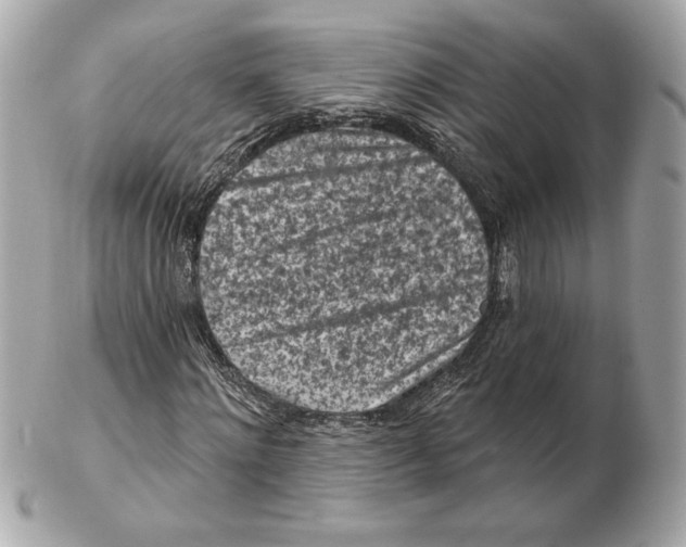 X0000102460868200808291540