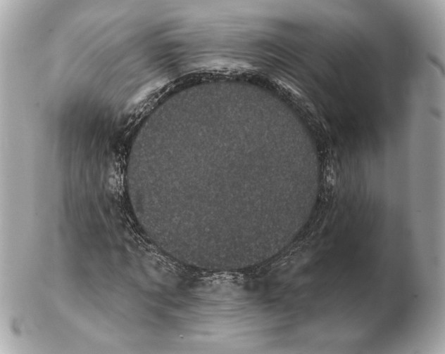 X0000102460869200808291540