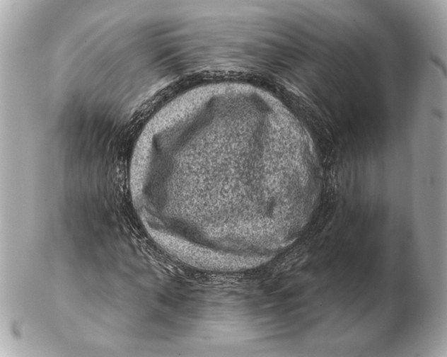 X0000102460870200808291540