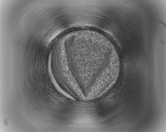 X0000102460871200808291540