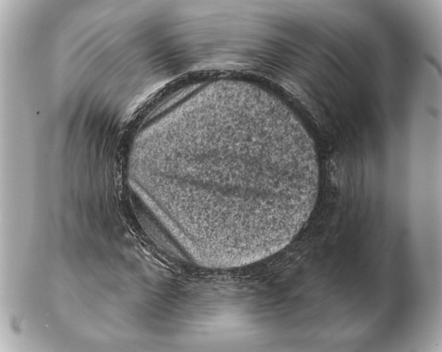 X0000102460872200808291540