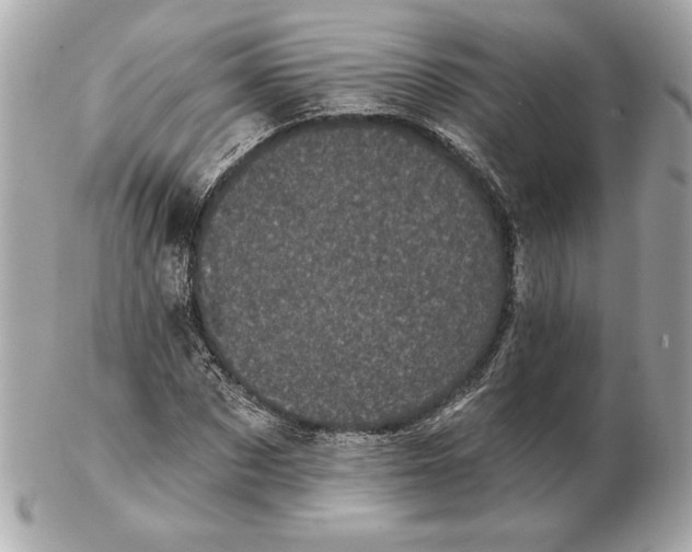 X0000102460873200808291540