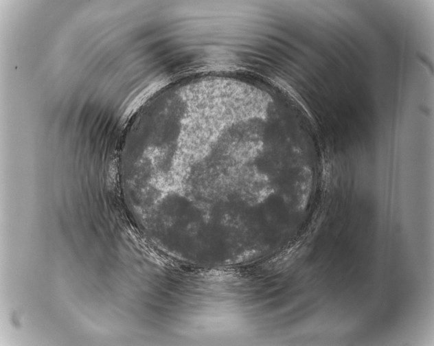 X0000102460874200808291540