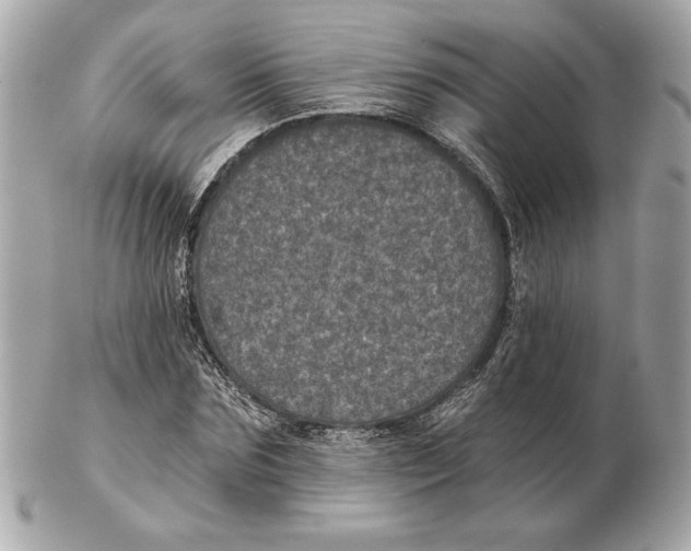 X0000102460875200808291540