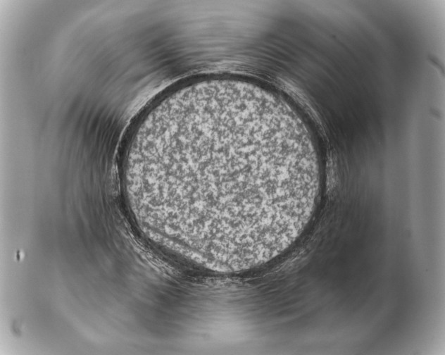 X0000102460876200808291540