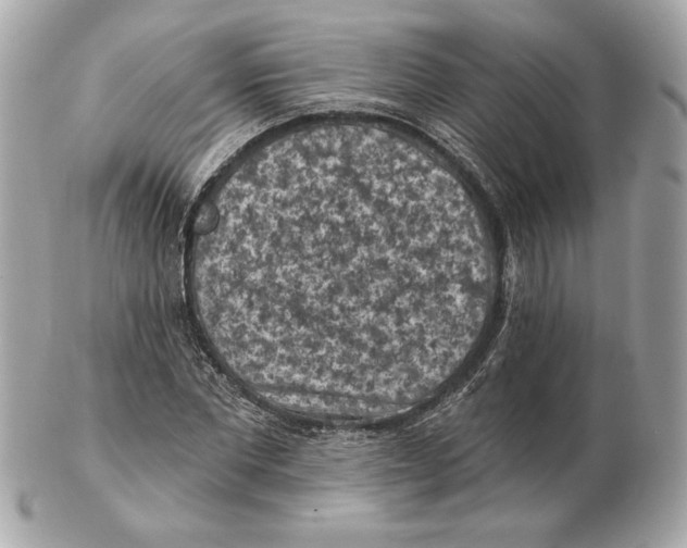 X0000102460877200808291540