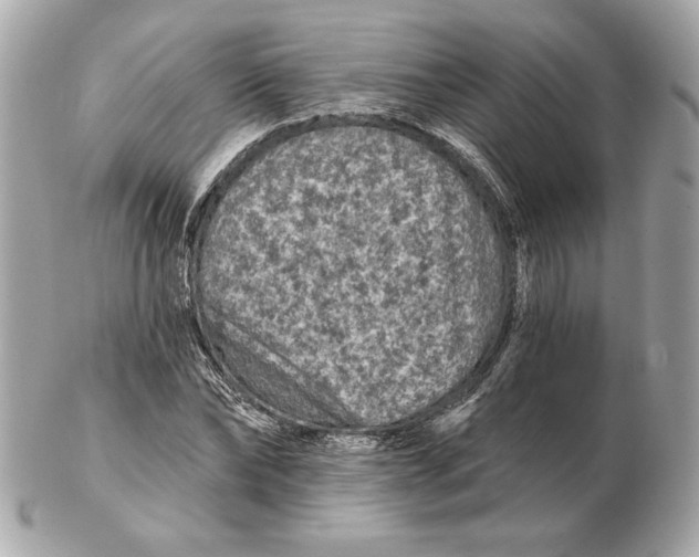 X0000102460878200808291540