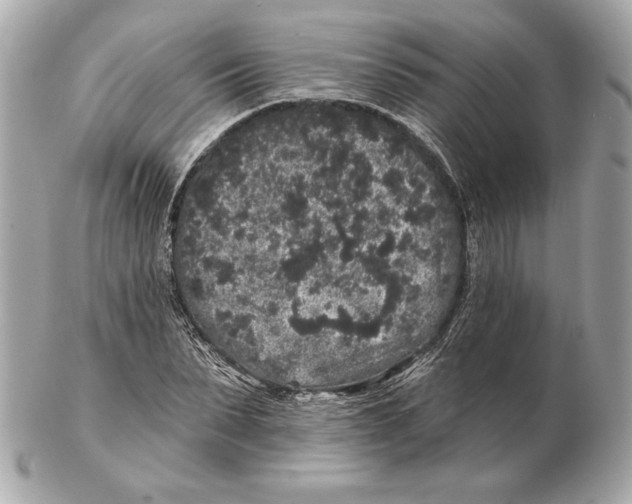 X0000102460879200808291540