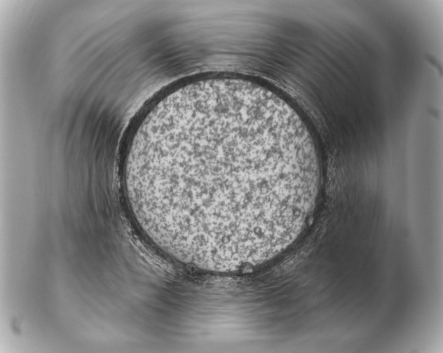 X0000102460880200808291540