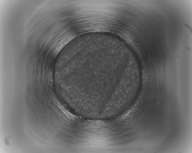 X0000102460881200808291540