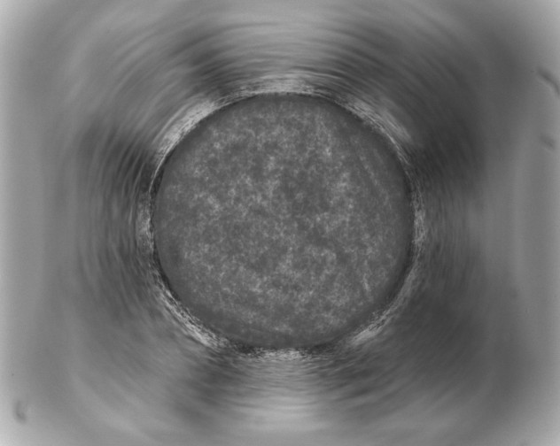 X0000102460882200808291540