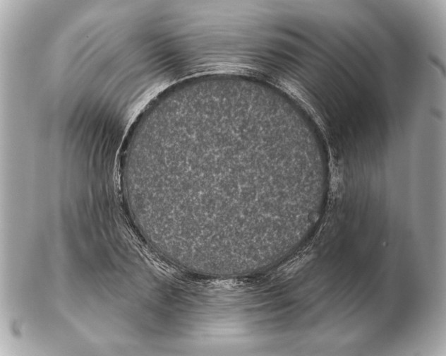 X0000102460883200808291540