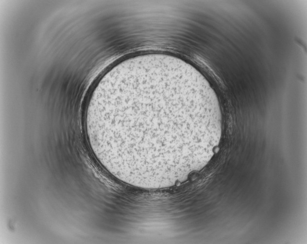 X0000102460884200808291540