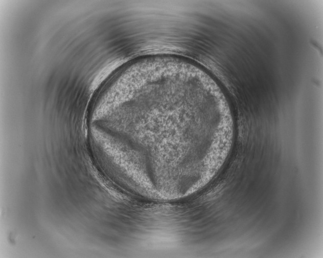 X0000102460885200808291540