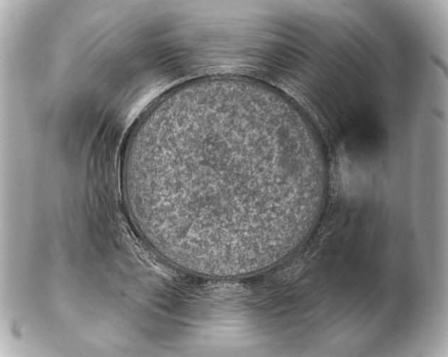 X0000102460886200808291540