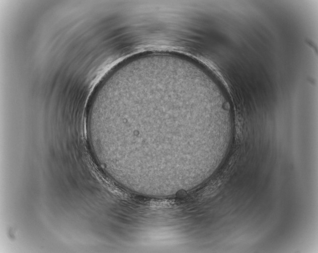 X0000102460887200808291540