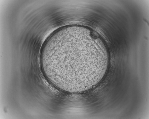 X0000102460888200808291540