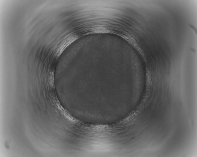 X0000102460889200808291540
